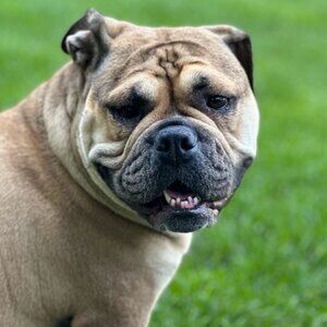 Meet your Posher, Brittany